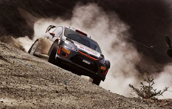 Ford, Пыль, WRC, Rally, Fiesta, Kubica