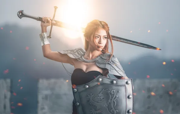 Картинка девушка, меч, щит