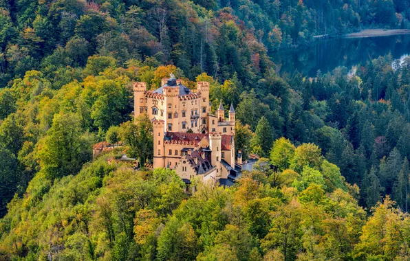 Картинка Германия, Лес, Бавария, Замки, Hohenschwangau Castle