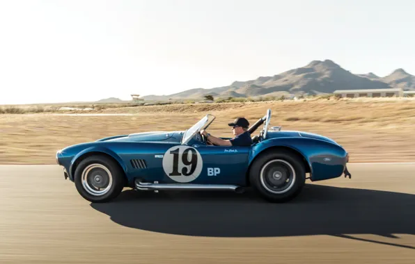 Движение, скорость, Shelby, Кобра, Cobra, Шелби, Shelby Cobra 289