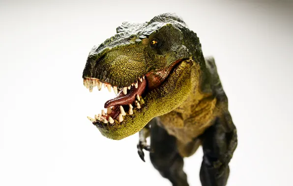 Картинка Tyrannosaurus, T Rex, Dinosaur