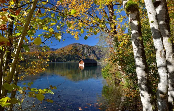 Картинка осень, деревья, пейзаж, горы, природа, озеро, дом, Австрия