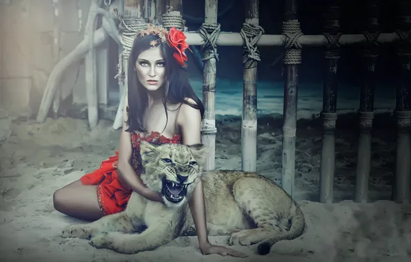 Кошка, девушка, зверь