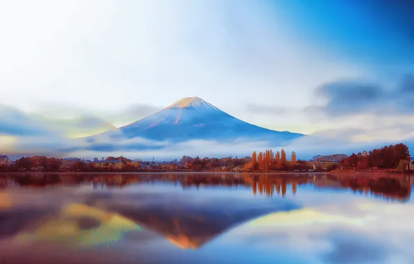 Forest, japan, east, international, image, god, far, fuji