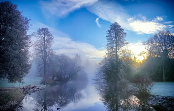 Forest, river, nature, fog