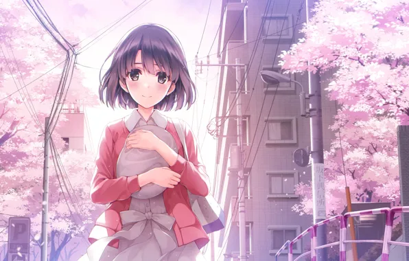 Anime, art, Saenai Heroine no Sodatekata, Megumi Katou