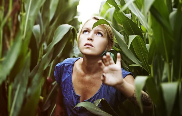 Картинка девушка, фон, кукуруза