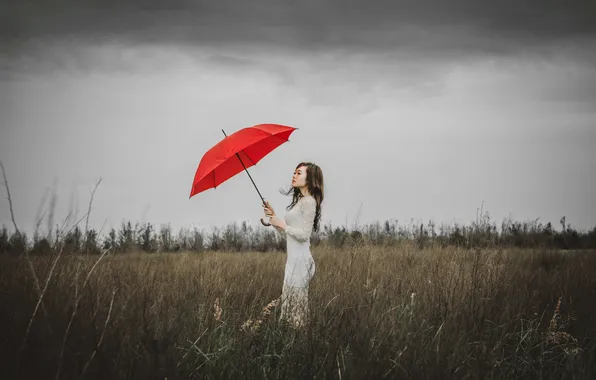 Картинка гроза, поле, девушка, стебли, волосы, куст, платье, красный зонт