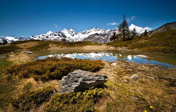 Трава, горы, озеро, камни, Швейцария, Zermatt