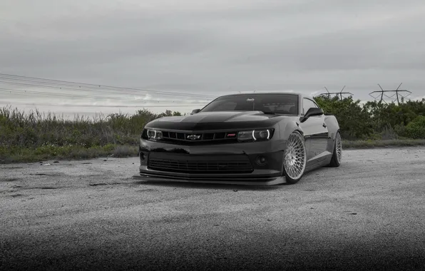 Картинка Chevrolet, Camaro, avant garde wheels