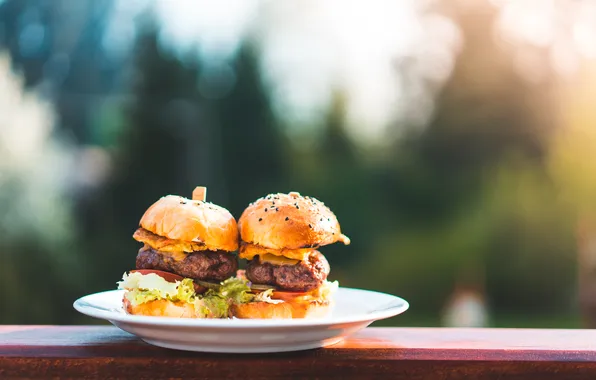 Nature, dish, homemade burgers