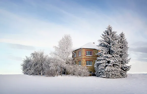 Картинка зима, небо, облака, снег, деревья, дом