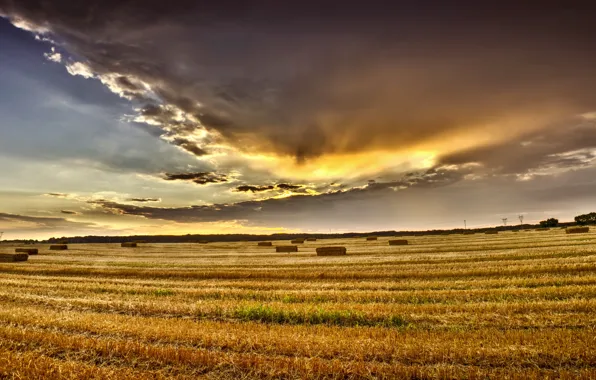 Картинка лето, небо, облака, Поле, август, summer, sky, field