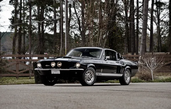 Картинка Mustang, Ford, Shelby, мустанг, форд, шелби, 1967, GT350