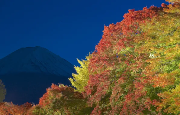 Картинка осень, небо, листья, свет, деревья, ночь, гора, Япония