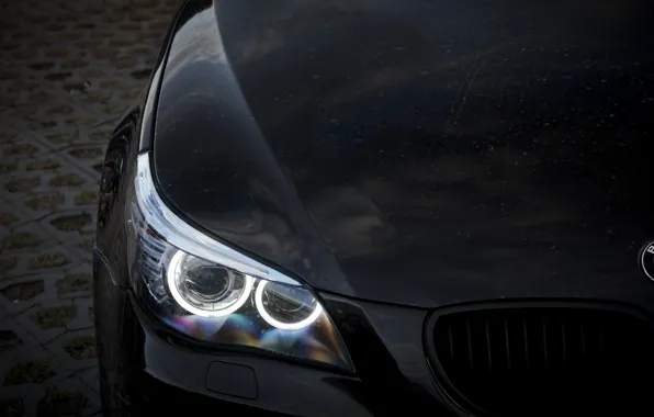 BMW, Light, Side, E60, Sight, Angel eye