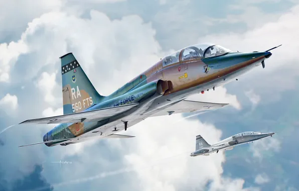 США, учебно-тренировочный самолет, T-38C Talon, Auletta, US Airforce, Northrop T-38 Talon