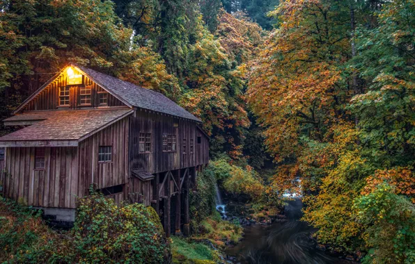 Картинка осень, лес, река, водяная мельница, Washington, штат Вашингтон, Woodland, Вудленд
