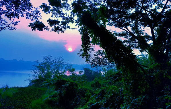 Clouds, Sky, Grass, Sun, Water, Sunrise, Dawn, Morning