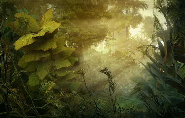 Картинка лес, природа, растения, джунгли