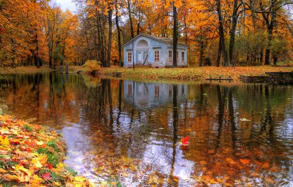 Осень, листья, деревья, природа, дом, река, Санкт-Петербург, Ed Gordeev