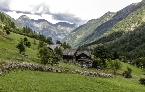 Лес, трава, деревья, горы, камни, склон, Италия, ущелье