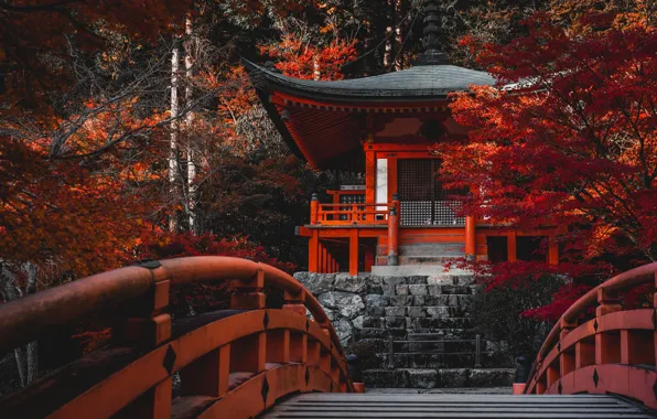 Картинка осень, деревья, мост, Япония, храм, Japan, Kyoto, Киото