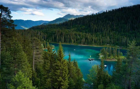Лес, облака, горы, озеро, берег, вид, ели, островок