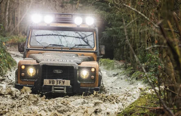 Вода, природа, грязь, Land Rover, Trophy, свет фар, Defender, Works