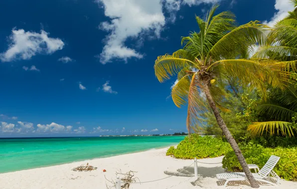 Песок, море, пляж, пальмы, берег, summer, beach, sea