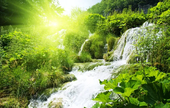 Картинка зелень, лес, трава, солнце, деревья, водопад, кусты