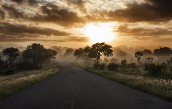 Дорога, небо, природа, утро