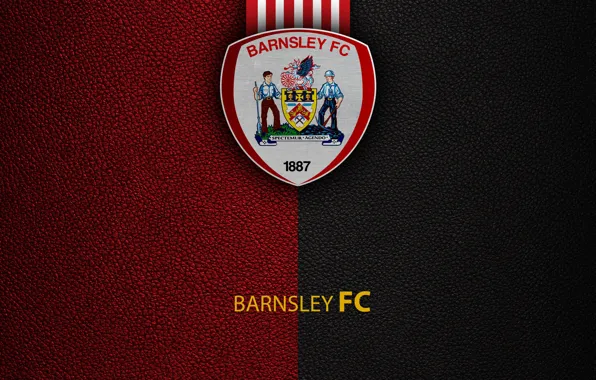 Wallpaper, sport, logo, football, English Premier League, Barnsley