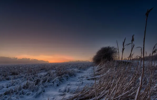 Картинка зима, поле, снег, природа, вечер