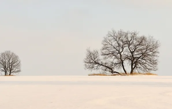 Картинка зима, поле, снег, деревья