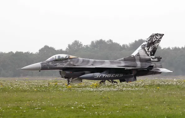 Картинка истребитель, аэродром, F-16, Fighting Falcon, многоцелевой, «Файтинг Фалкон»
