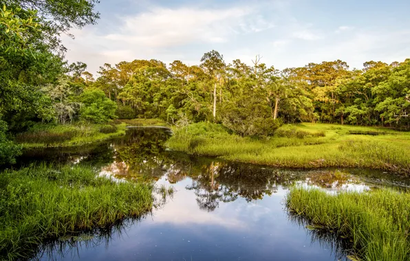Южная Каролина, США, South Carolina, Seabrook Island