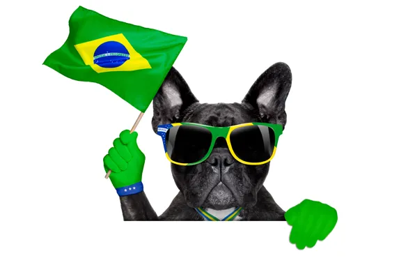 Картинка собака, очки, logo, dog, football, flag, funny, cool