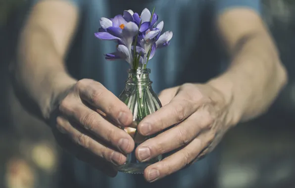 Цветы, человек, руки