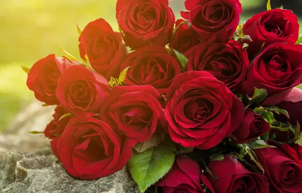 Букет, red, wood, romantic, roses, красные розы