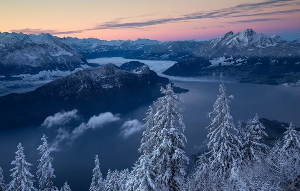 Картинка зима, деревья, горы, озеро, восход, рассвет, утро, Швейцария