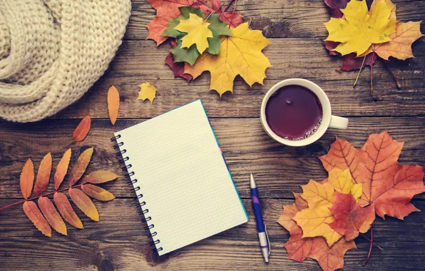 Осень, листья, фон, colorful, клен, wood, notebook, autumn