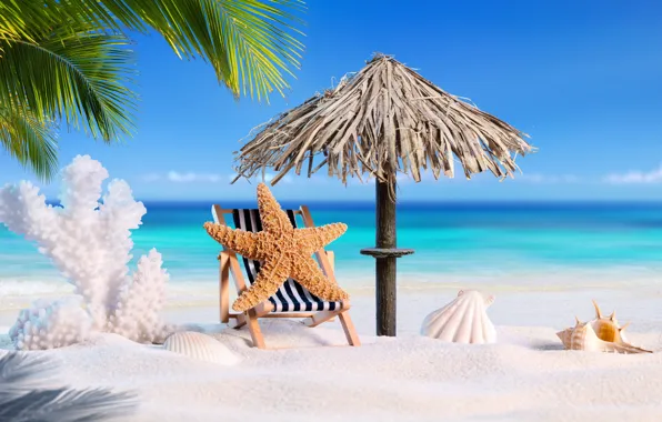 Картинка песок, море, пляж, лето, звезда, отпуск, ракушки, summer