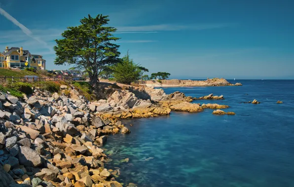 Картинка побережье, Калифорния, США, Monterey Bay