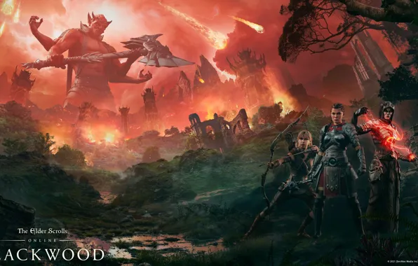 Эльфийки, The Elder Scrolls Online, tes online, THE ELDER SCROLLS ONLINE:BLACKWOOD - FIRE AND FURY, …