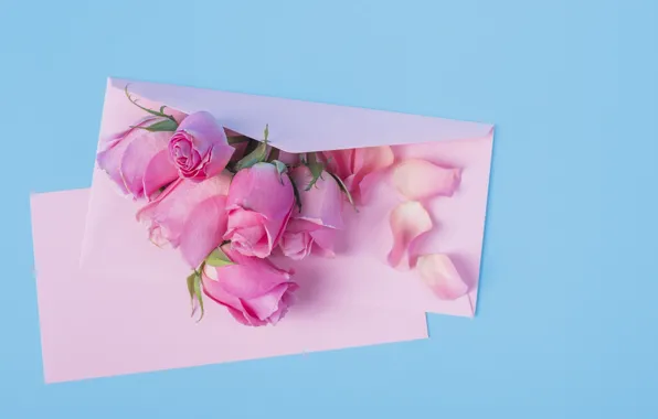 Картинка цветы, розы, розовые, pink, flowers, beautiful, romantic, конверт