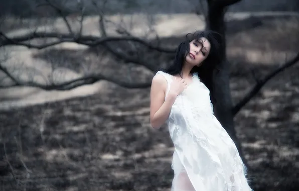 Азиатка, model, Kt.Tomomi