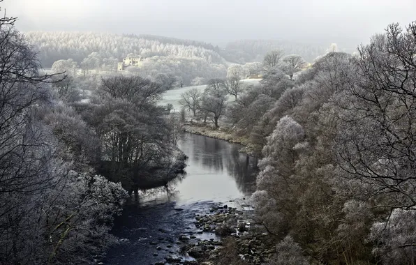 Пейзаж, природа, река