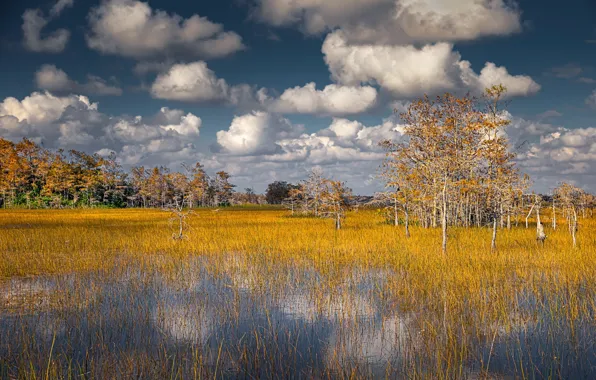 Картинка Florida, Clouds, Big Cypress National Preserve, USA