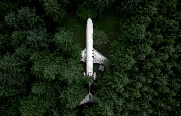 Картинка лес, деревья, USA, самолёт, Oregon, вид сверху, Boeing 727, Hillsboro